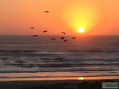 101-6608 Padre Blvd, South Padre Island, TX, 78597-7711 | Card Image