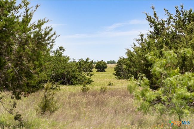 16160 Siler Rd, Home with 0 bedrooms, 1 bathrooms and null parking in Moody TX | Image 42