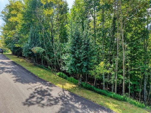 Lot 32 Westside Dr, Blairsville, GA, 30512 | Card Image