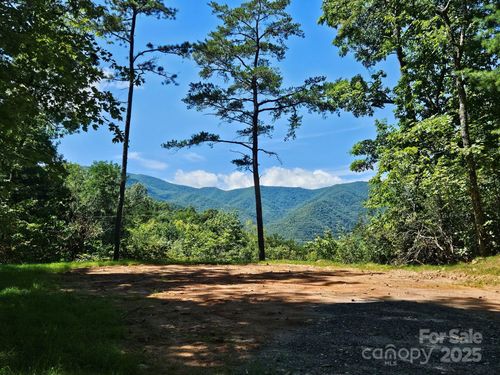 1-0 Blue Vista Rd, Canton, NC, 28716 | Card Image