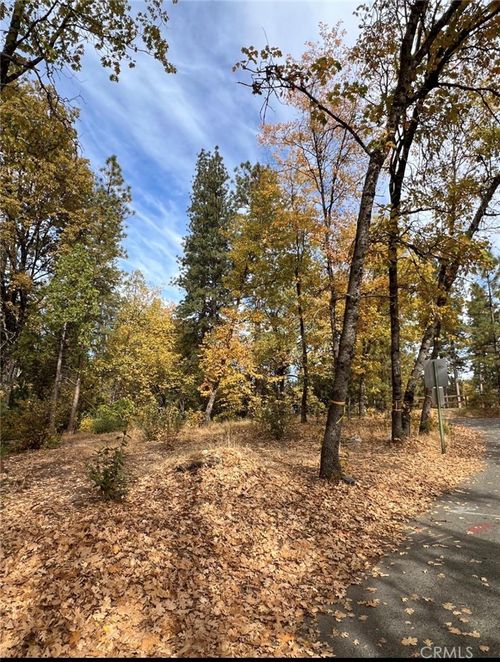 54692 Bluegill, Bass Lake, CA, 93604 | Card Image