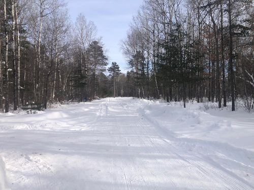 Lot 3 Clemence Ln, St. Germain, WI, 54558 | Card Image