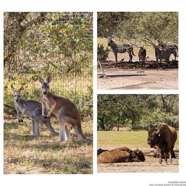 1573 Limestone Ledge, For Sale in Spring Branch Zoocasa