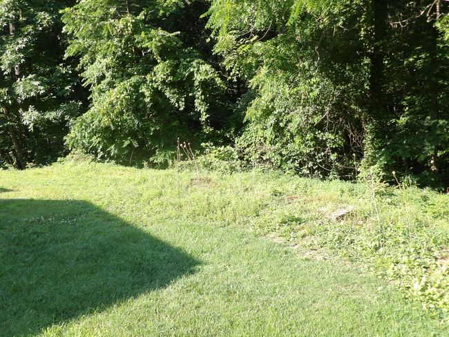 11363 State Route 8, House other with 3 bedrooms, 2 bathrooms and null parking in Dunlap TN | Image 28