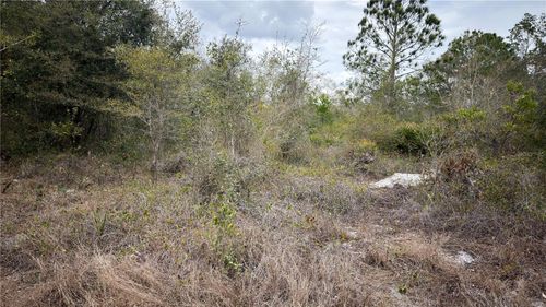 336 Pershing Ave, LAKE PLACID, FL, 33852-7529 | Card Image