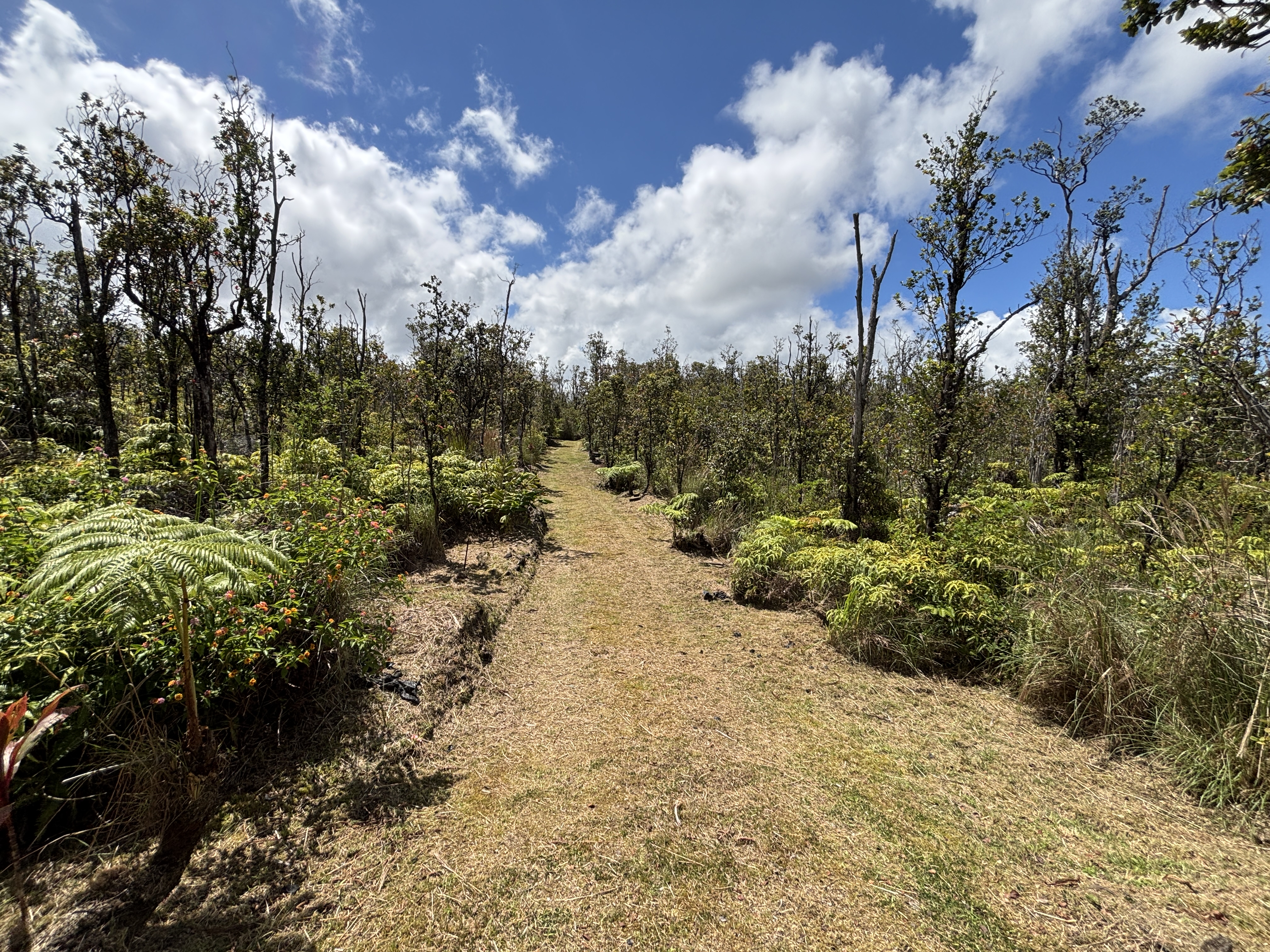 Land in Volcano 5