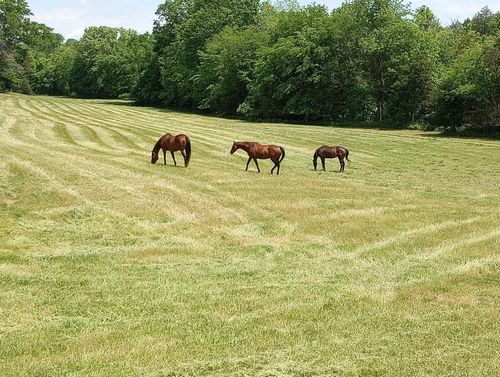 9786 Hartsville Pike, Lebanon, TN, 37087-0320 | Card Image