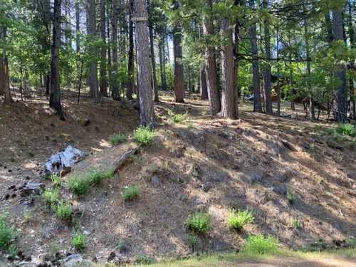 2946 Venado Dr, Arnold, CA, 95223-9555 | Card Image