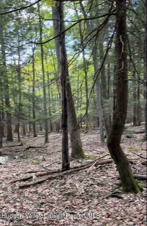 Tbd Jonet Ln, Bearsville, NY, 12409 | Card Image