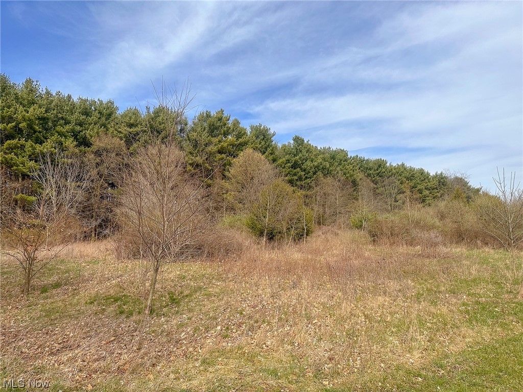 17020 Galehouse Road, Sold in Doylestown Zoocasa