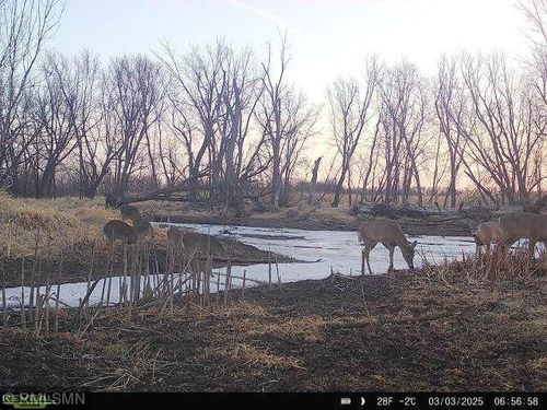 TBD 484th Ln, Waterville, MN, 56096 | Card Image