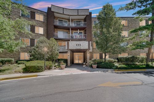 419-245 S Park Lane, Palatine, IL, 60074 | Card Image