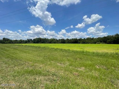 0000 Peanut Rd, Graceville, FL, 32440 | Card Image