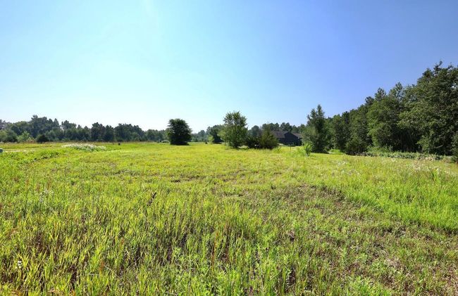 IMG_3036.jpeg | Image 14