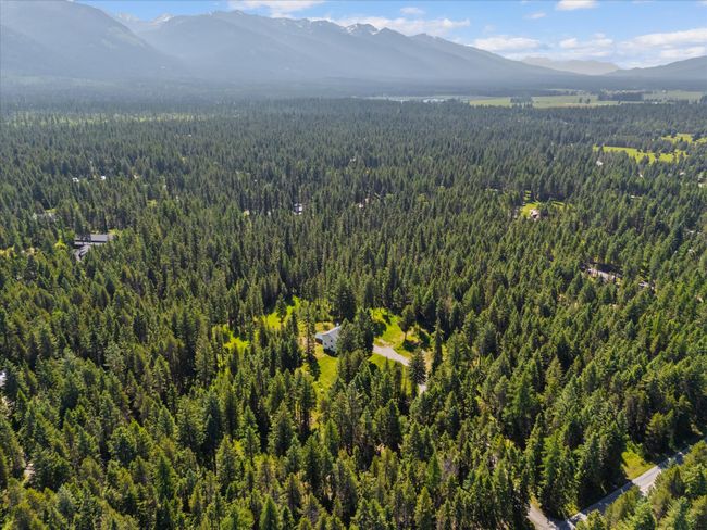 Drone / aerial view of a forest and a mountain backdrop | Image 55