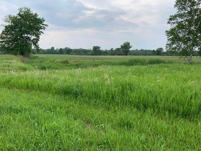 N8709 5 Th Ave, Home with 3 bedrooms, 1 bathrooms and null parking in CAMP DOUGLAS WI | Image 50