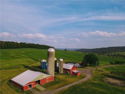 3294 Haines Rd, Cincinnatus, NY, 13040-2231 | Card Image