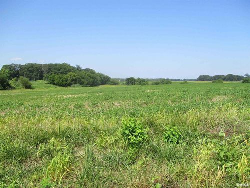 0000 Bean Rd, Whittington, IL, 62897 | Card Image