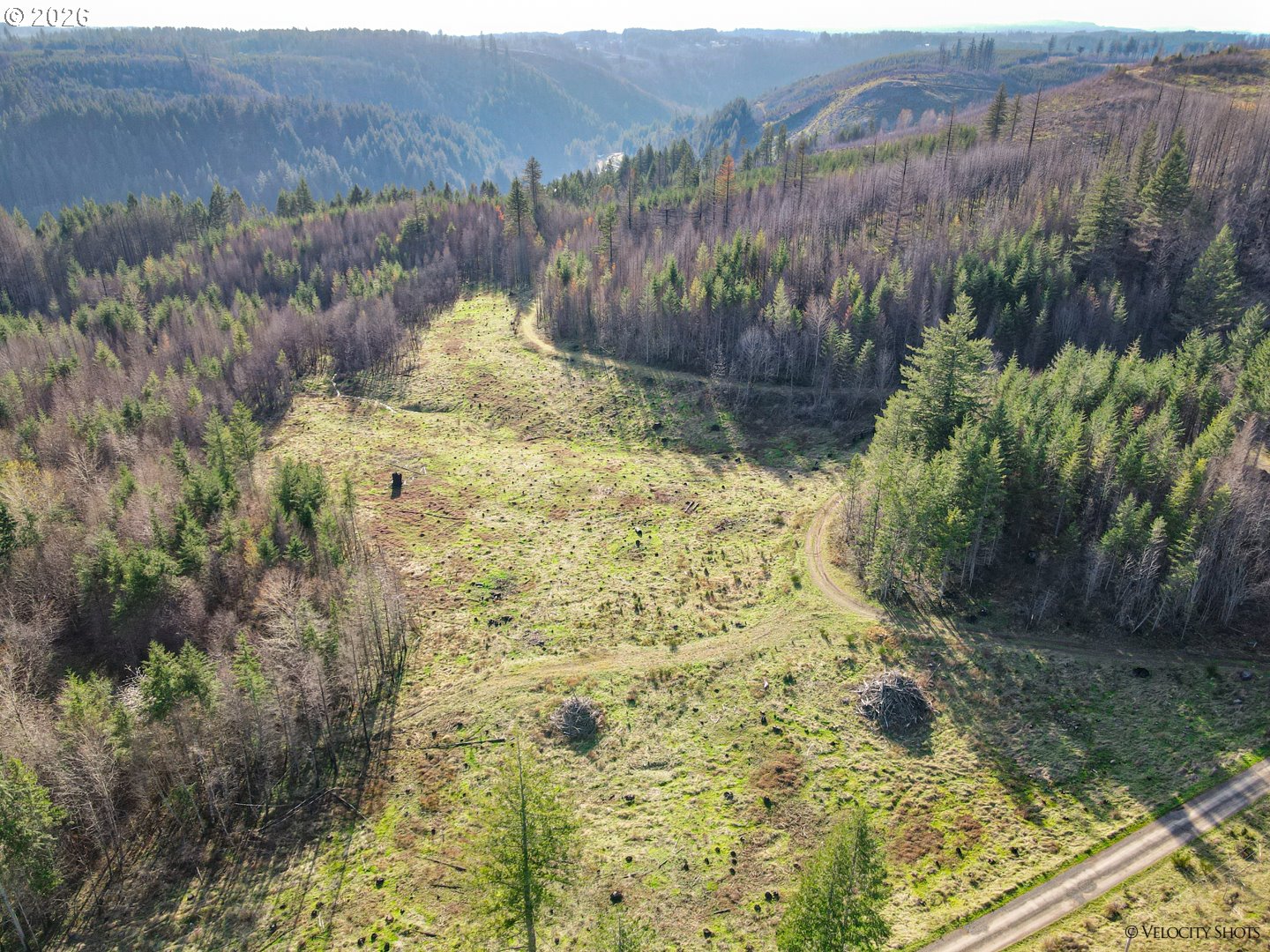 Land in Estacada 2