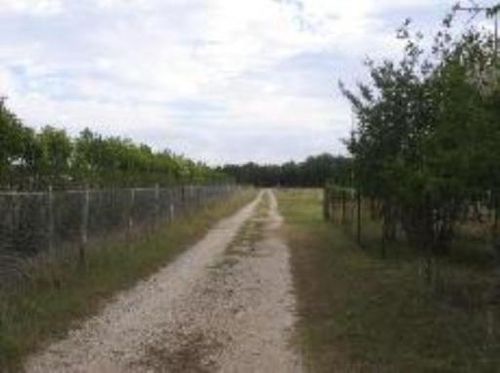 205 Hill Country Dr, Pipe Creek, TX, 78063-7318 | Card Image