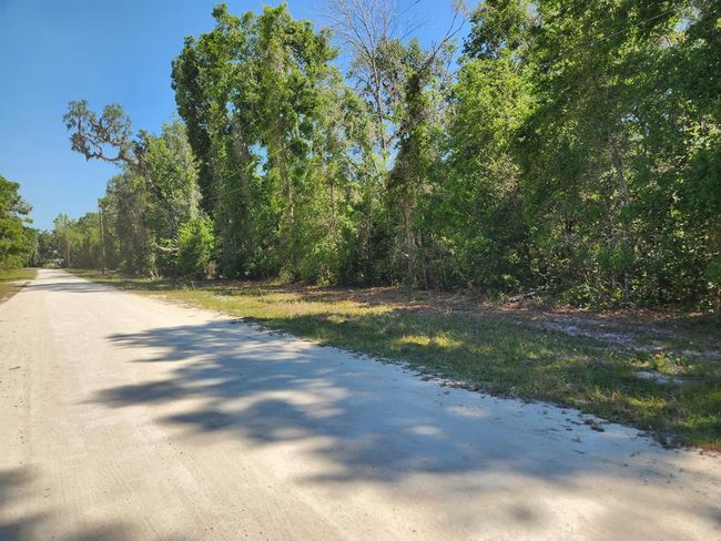 167 Ne 396 Th St, Home with 0 bedrooms, 0 bathrooms and null parking in Cross City FL | Image 5