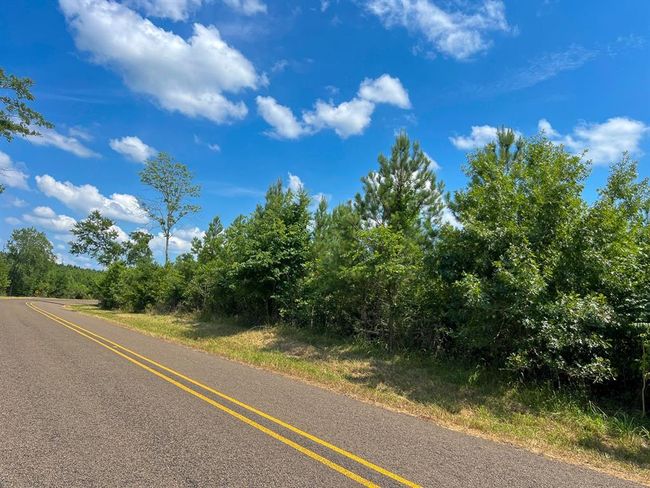 1 State St, Home with 0 bedrooms, 0 bathrooms and null parking in Milam TX | Image 8