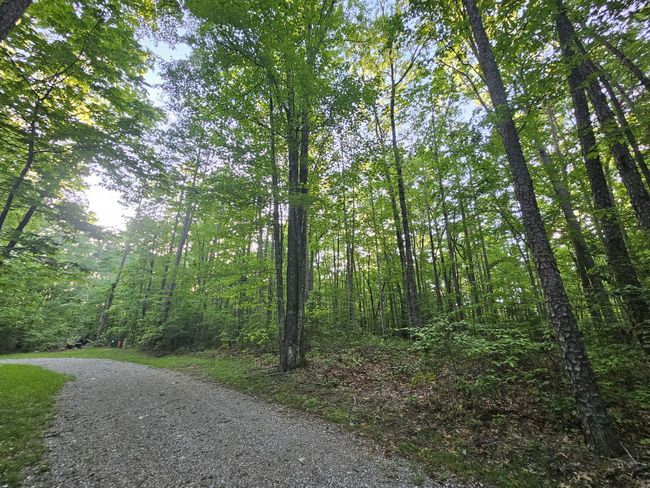 3 Woodfern Ln, Home with 0 bedrooms, 0 bathrooms and null parking in Coalmont TN | Image 5