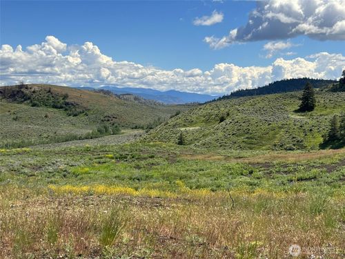 0 TBD Ellemeham Mountain Rd, Oroville, WA, 98844 | Card Image