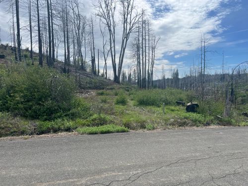 7352 Winding Way, Grizzly Flats, CA, 95636-9789 | Card Image