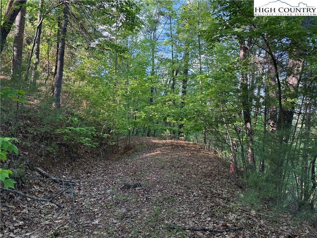 27 Wolf Pen Rd, Home with 0 bedrooms, 0 bathrooms and null parking in Purlear NC | Image 5
