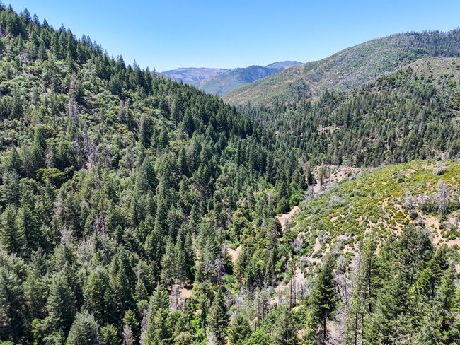 0000 E Fork Rd, Home with 0 bedrooms, 0 bathrooms and null parking in French Gulch CA | Image 58