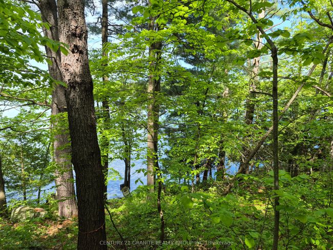 1152 Warrington Lane, Home with 0 bedrooms, 0 bathrooms and null parking in Sharbot Lake ON | Image 14