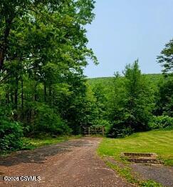 Land in Mt. Carmel 2