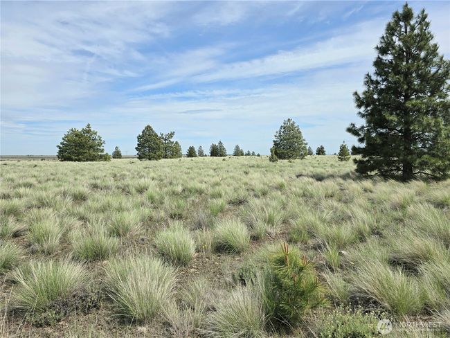226 Duree Rd, Home with 0 bedrooms, 0 bathrooms and null parking in Bickleton WA | Image 20