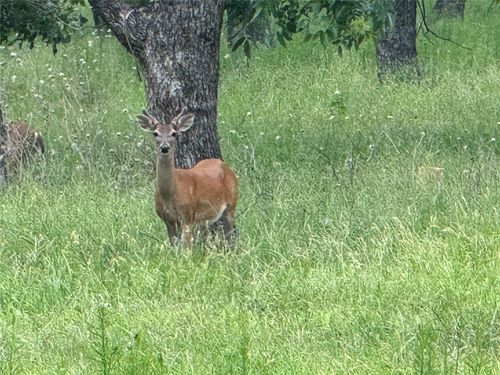 3140 E Landings S, Granbury, TX, 76049-4250 | Card Image