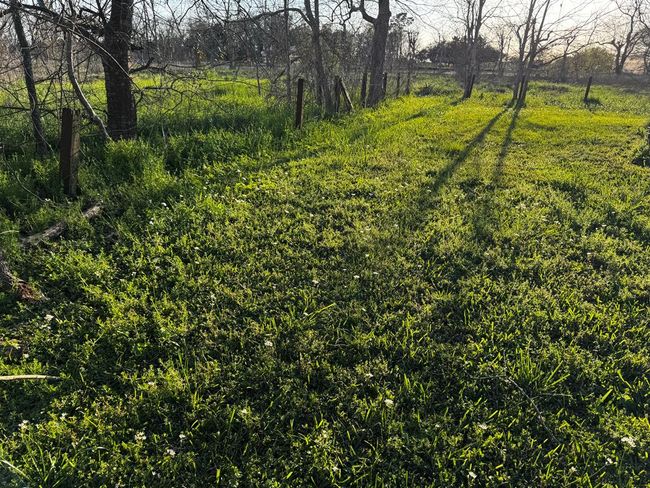 27215 Highway 36, Home with 0 bedrooms, 0 bathrooms and null parking in Damon TX | Image 34
