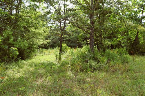 3 acres Co Rd 198, Danville, AL, 35619 | Card Image