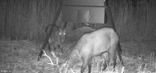 3241 Robbins Rd, CRAPO, MD, 21626-2008 | Card Image