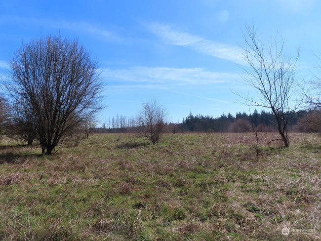 A - 107 Avery Rd W, Home with 0 bedrooms, 0 bathrooms and null parking in Napavine WA | Image 21
