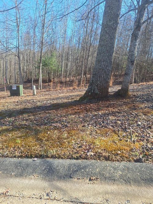 Lot Summit Trace, Blairsville, GA, 30512 | Card Image