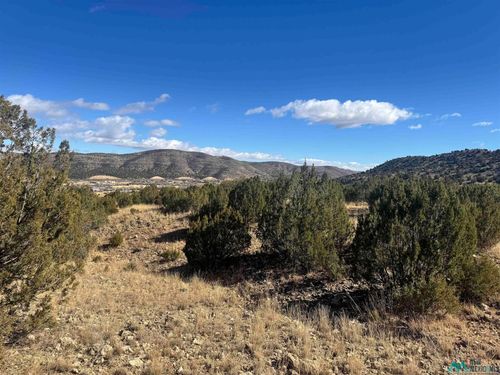 140 Manfor, Hondo, NM, 88348 | Card Image
