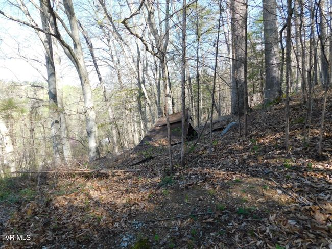 4400 Big Hill Rd, House other with 1 bedrooms, 1 bathrooms and null parking in Pennington Gap VA | Image 26