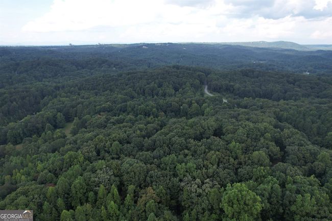 0 Peach Orchard Dr, Home with 0 bedrooms, 0 bathrooms and null parking in Alto GA | Image 8