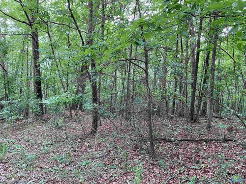 Lot 7 Bear Creek Rd Se, Fort Payne, AL, 35967 | Card Image