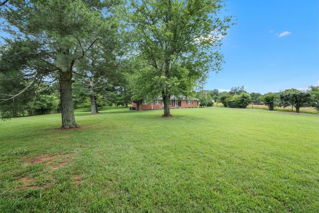 VIEW OF 2 ACRES FROM LEFT CORNER OF PROPERTY. | Image 11
