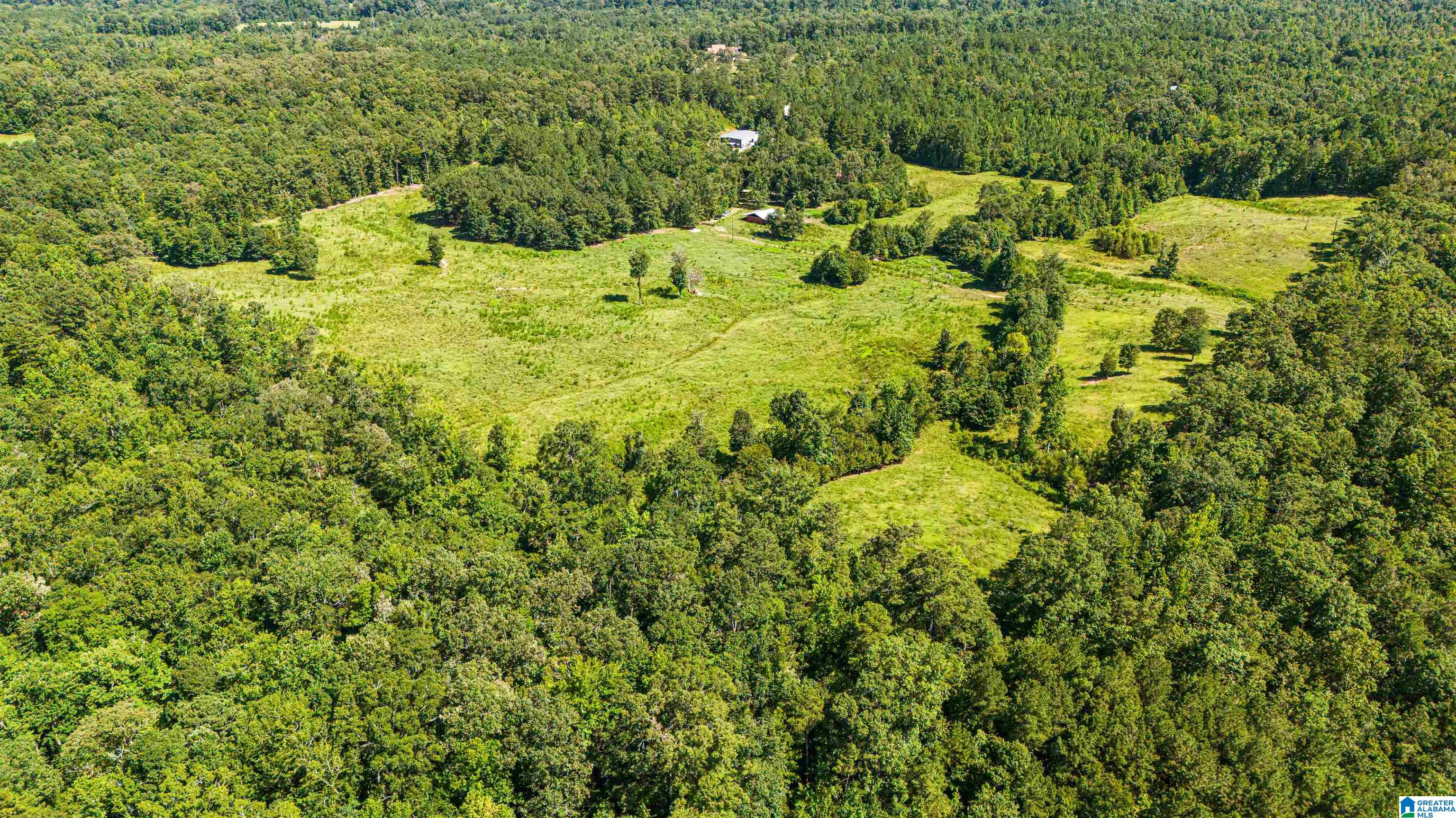 Land in OHATCHEE 3