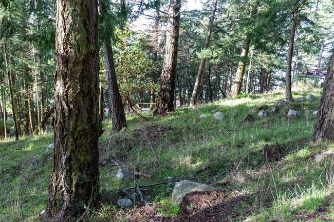 0 Afterglow Dr, Home with 0 bedrooms, 0 bathrooms and null parking in Friday Harbor WA | Image 10