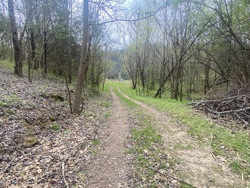 0 Globe Rd, Lewisburg, TN, 37091 | Card Image