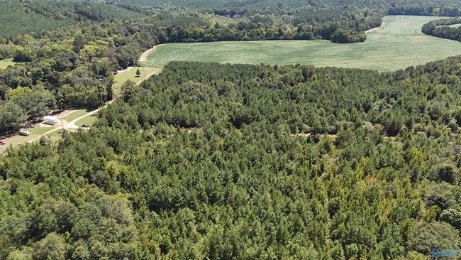 002 Hwy 68, Home with 0 bedrooms, 0 bathrooms and null parking in Gaylesville AL | Image 6