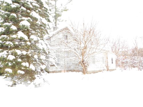 111 E Saint Marys St, Decatur, MI, 49045-1020 | Card Image